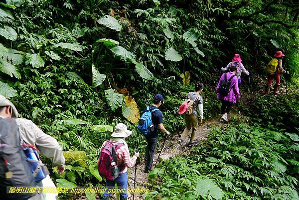 P1780400.jpg P1780400.jpg