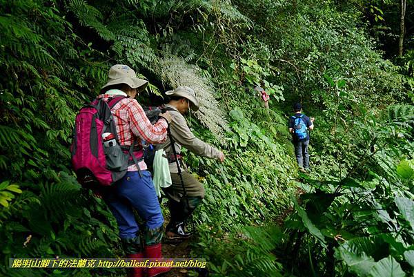 P1780401.jpg P1780401.jpg