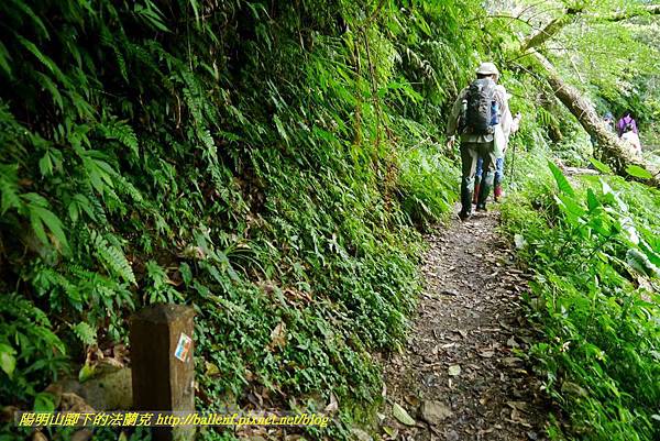 P1780402.jpg P1780402.jpg