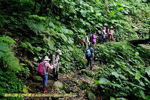 P1780404.jpg P1780404.jpg