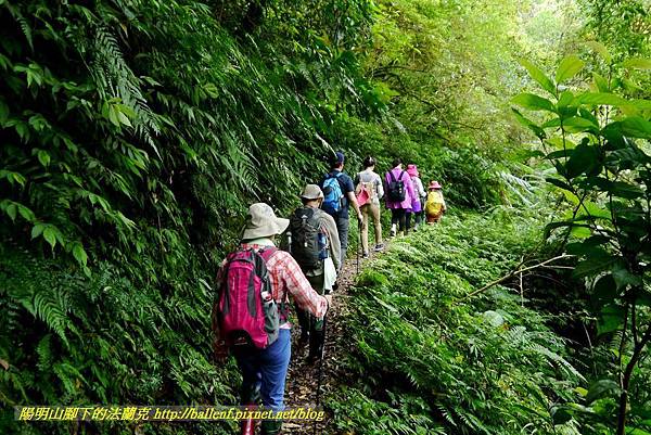 P1780405.jpg P1780405.jpg