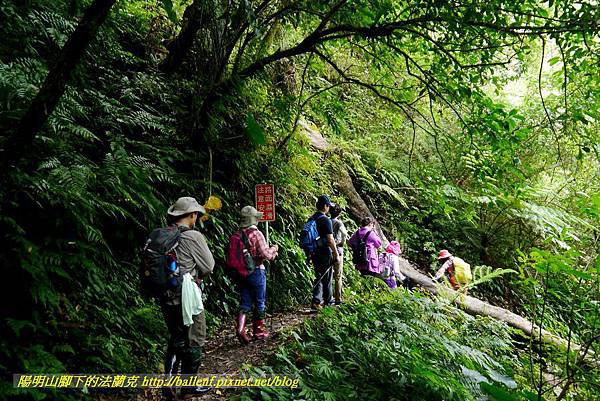 P1780406.jpg P1780406.jpg