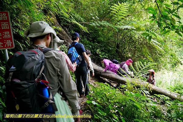 P1780407.jpg P1780407.jpg