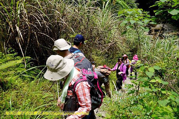 P1780409.jpg P1780409.jpg