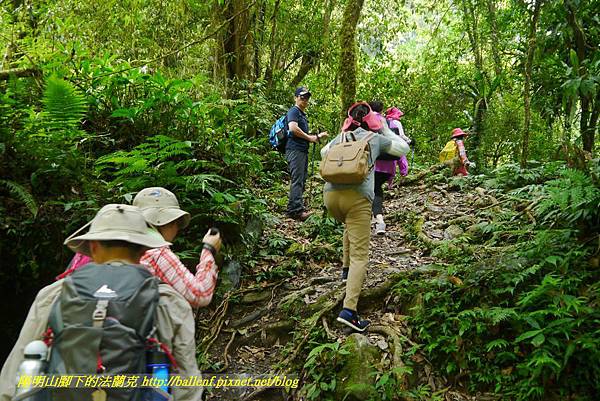 P1780414.jpg P1780414.jpg