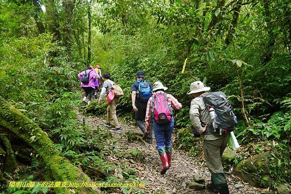 P1780415.jpg P1780415.jpg