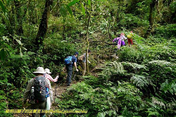 P1780416.jpg P1780416.jpg