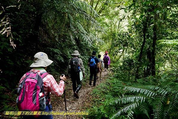 P1780417.jpg P1780417.jpg