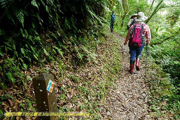 P1780418.jpg P1780418.jpg