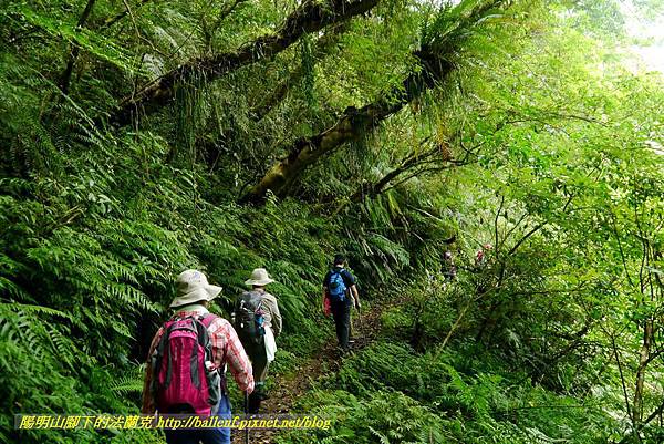 P1780419.jpg P1780419.jpg