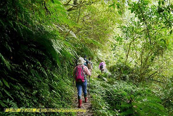 P1780420.jpg P1780420.jpg