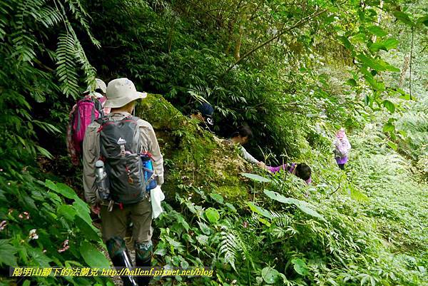 P1780423.jpg P1780423.jpg