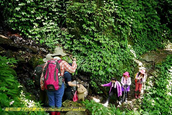 P1780425.jpg P1780425.jpg