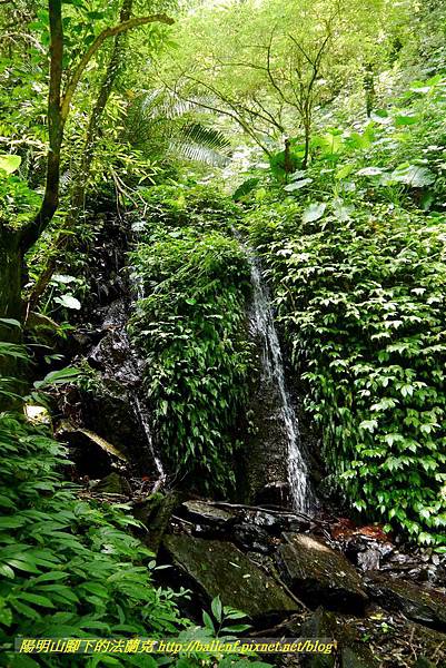 P1780426.jpg P1780426.jpg