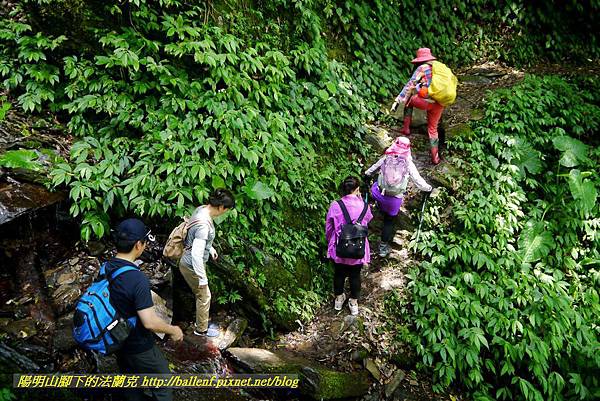 P1780428.jpg P1780428.jpg