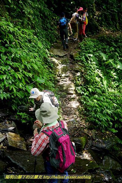 P1780429.jpg P1780429.jpg