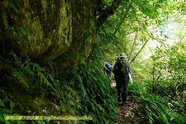 P1780431.jpg P1780431.jpg