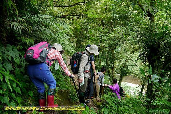 P1780433.jpg P1780433.jpg