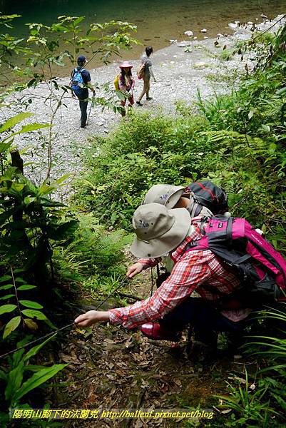 P1780438.jpg P1780438.jpg