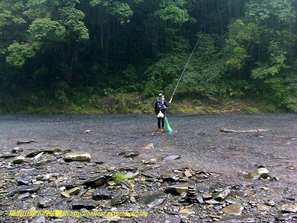 P1780446.jpg P1780446.jpg