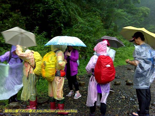 P1780447.jpg P1780447.jpg