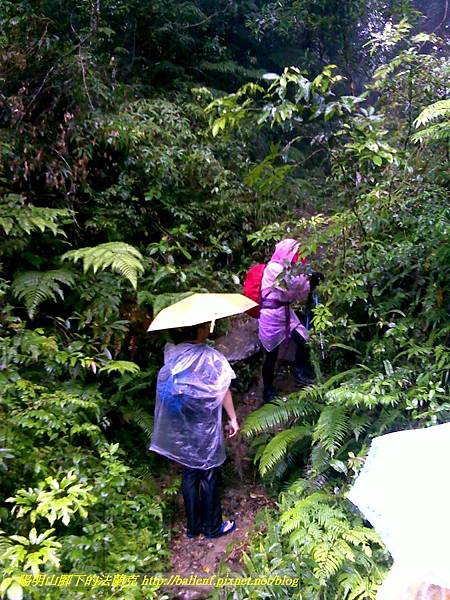 P1780448.jpg P1780448.jpg