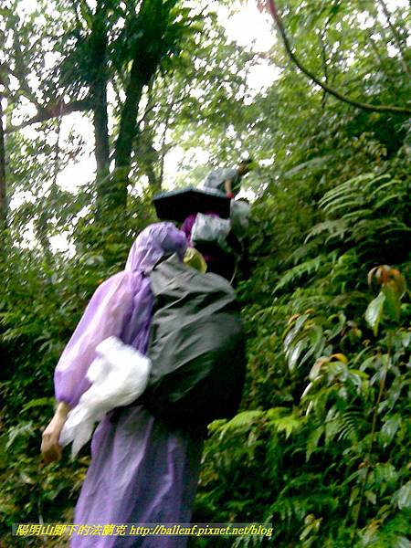 P1780449.jpg P1780449.jpg