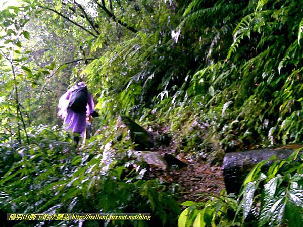 P1780450.jpg P1780450.jpg