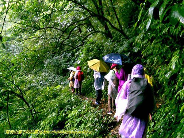 P1780451.jpg P1780451.jpg