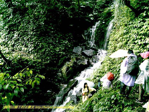 P1780452.jpg P1780452.jpg