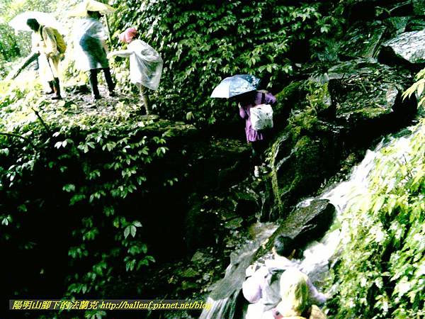 P1780455.jpg P1780455.jpg