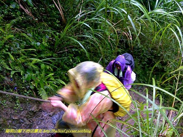 P1780460.jpg P1780460.jpg