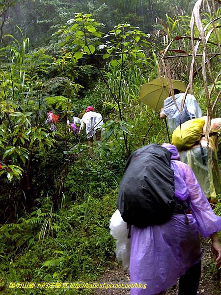 P1780461.jpg P1780461.jpg