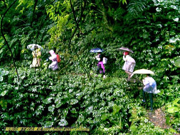 P1780463.jpg P1780463.jpg