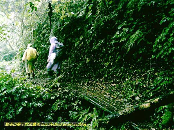 P1780464.jpg P1780464.jpg