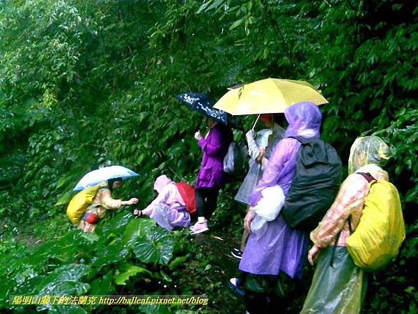 P1780465.jpg P1780465.jpg