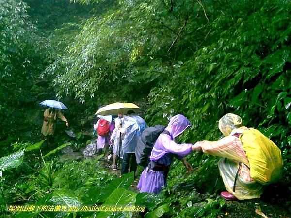 P1780466.jpg P1780466.jpg