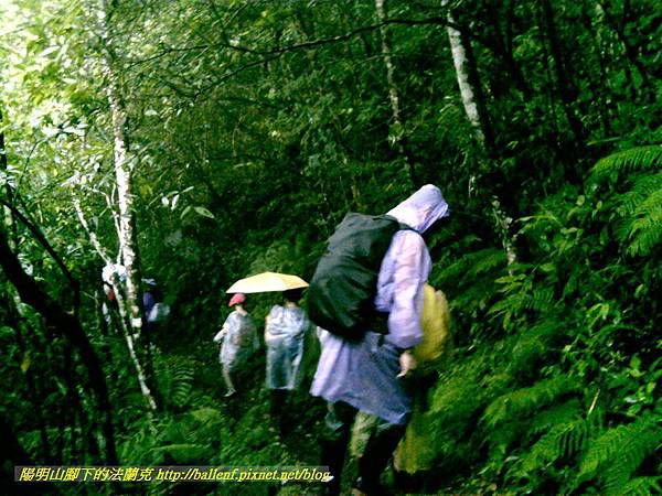 P1780468.jpg P1780468.jpg