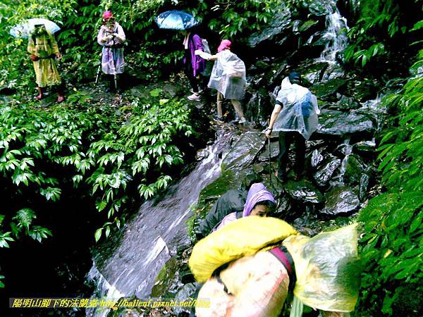 P1780471.jpg P1780471.jpg