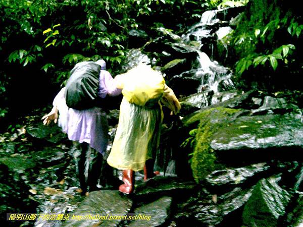 P1780472.jpg P1780472.jpg