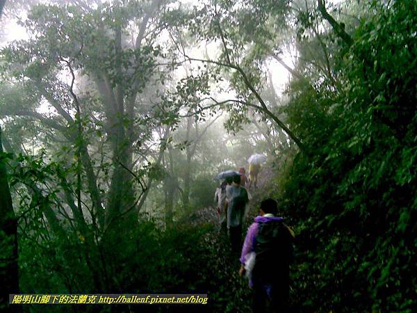 P1780474.jpg P1780474.jpg