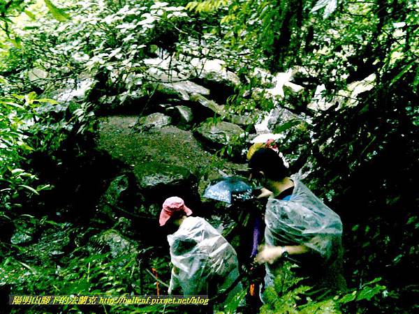 P1780476.jpg P1780476.jpg