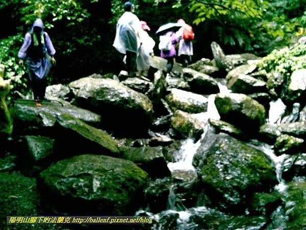 P1780477.jpg P1780477.jpg