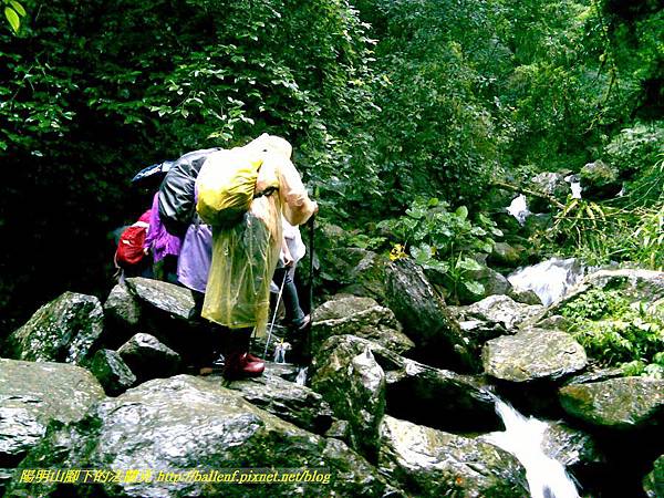 P1780478.jpg P1780478.jpg