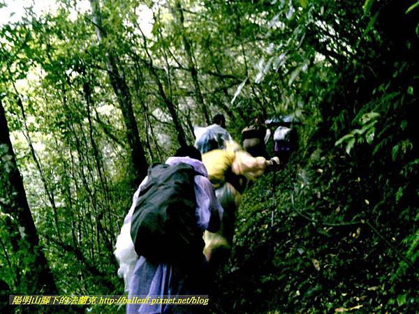 P1780481.jpg P1780481.jpg