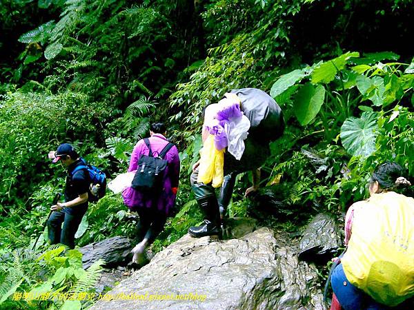 P1780484.jpg P1780484.jpg