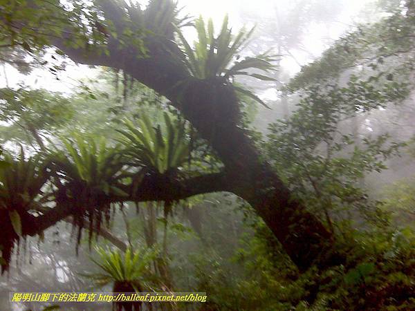 P1780485.jpg P1780485.jpg