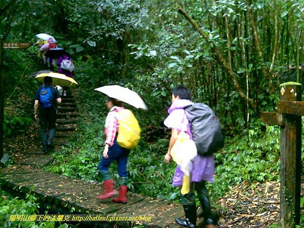 P1780488.jpg P1780488.jpg