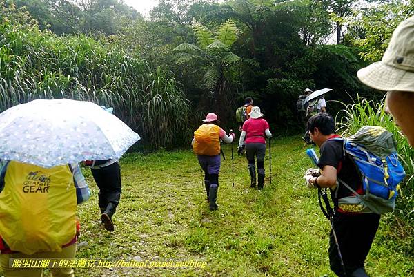 P1780452.jpg P1780452.jpg