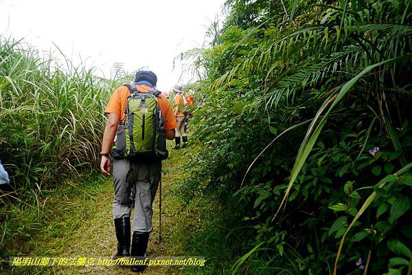 P1780454.jpg P1780454.jpg